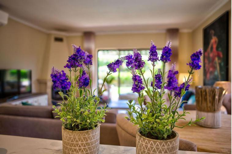 2Bedroom Bungalow Heated Shared Pool ,Near Carvoeiro And Ferrugudo Exterior photo